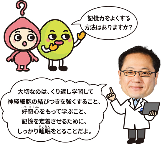 キャラクター「記憶力をよくする方法はありますか？」博士「大切なのは、くり返し学習して神経細胞の結びつきを強くすること、好奇心をもって学ぶこと、記憶を定着させるために、しっかり睡眠をとることだよ。」