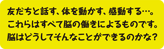 友だちと話す、体を動かす、感動する…。これらはすべて脳の働きによるものです。脳はどうしてそんなことができるのかな?