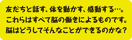 友だちと話す、体を動かす、感動する…。これらはすべて脳の働きによるものです。脳はどうしてそんなことができるのかな？