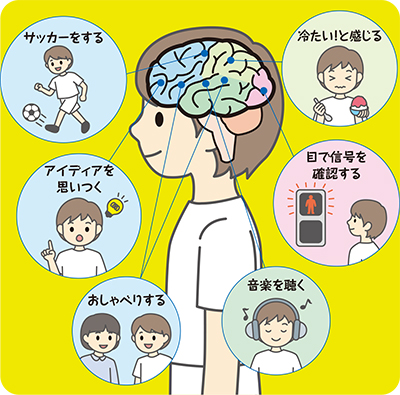 サッカーをする、冷たい!と感じる、おしゃべりするなどを考えているの図