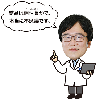 佐藤博士「結晶は個性豊かで、本当に不思議です」