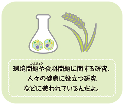 植物とフラスコのイラスト「環境問題や食糧問題に関する研究、人々の健康に役立つ研究などに使われているんだよ」