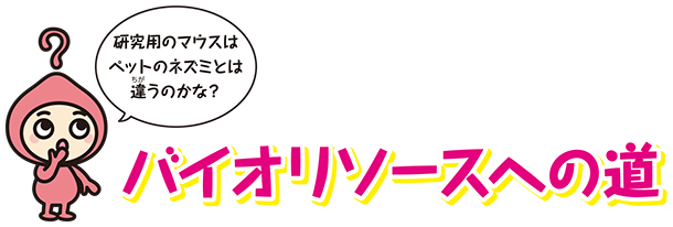 バイオリソースへの道