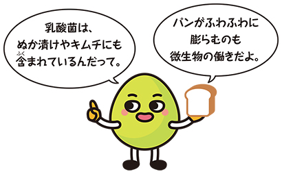 キャラクター画像「乳酸菌はぬか漬けやキムチにも含まれているんだって。パンがふわふわに膨らむのも微生物の働きだよ