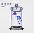 ［新世界］透明標本の画像
