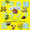 おどろきの植物不可思議プランツ図鑑─食虫植物、寄生植物、温室植物、アリ植物、多肉植物─の画像