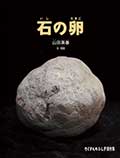 石の卵の画像