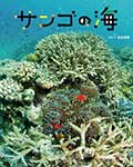 サンゴの海の画像