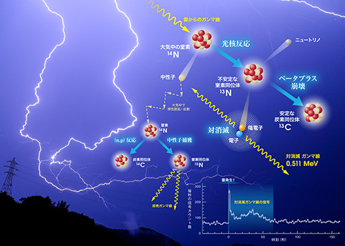 雷が陽電子（電子の反粒子）を生み出す仕組み「光核反応」の図