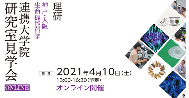 理研神戸・大阪 生命機能科学 連携大学院研究室見学会 ONLINEのHP画像