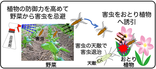 生態システムを活用した環境に優しい農業の図