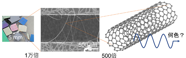 シリコンチップの溝上に伸びたカーボンナノチューブの図
