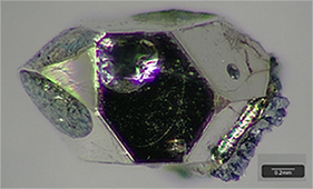 フラックス法により育成された単結晶の画像