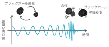 ブラックホール同士の合体と重力波波の画像