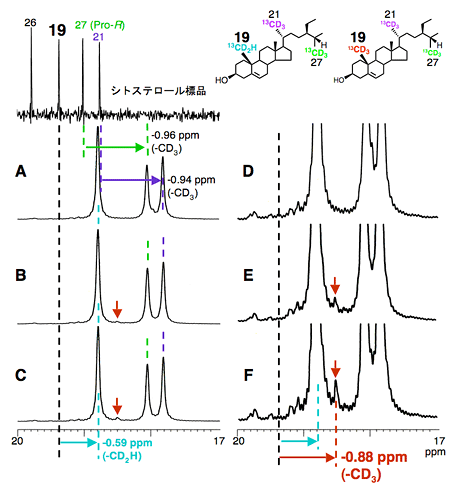 [6-13CD3]MVLの投与後、植物から精製したシトステロールの13C-{1H}{2H}NMRスペクトルの図