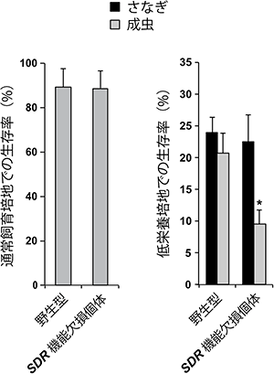 SDR欠損変異体における生存率の図