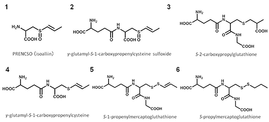 推定した6個のタマネギ含硫黄二次代謝物の構造図