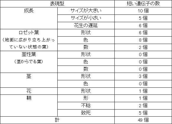 短い遺伝子の過剰発現体が示す表現型のカテゴリーの表の画像