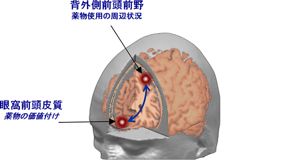 今回の実験結果のまとめの図