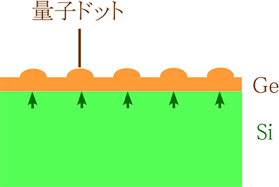 シリコン（Si）基板上のゲルマニウム（Ge）量子ドットの概念図の画像