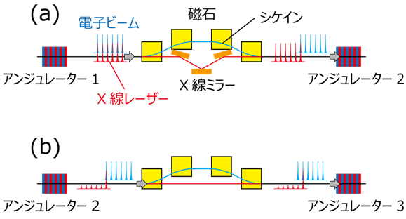 ターゲットパルスを選択的に増幅するためのタイミング調整の図