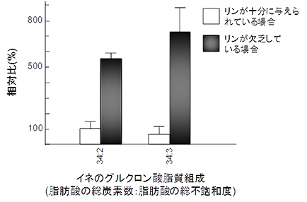 イネのリン欠乏条件下におけるグルクロン酸脂質の蓄積の図