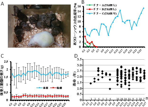 再クローンマウスの出産率、体重および寿命の図