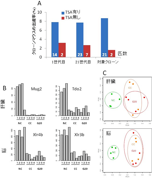 再クローンマウスの初期化完成度の図