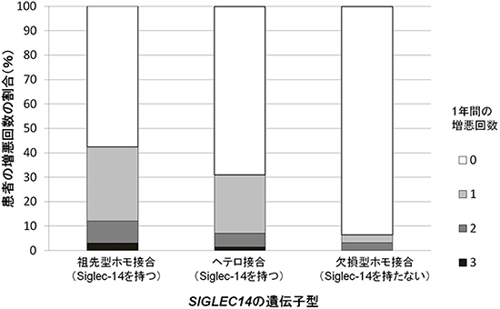 SIGLEC14の遺伝子型がCOPDの増悪頻度に及ぼす影響の図