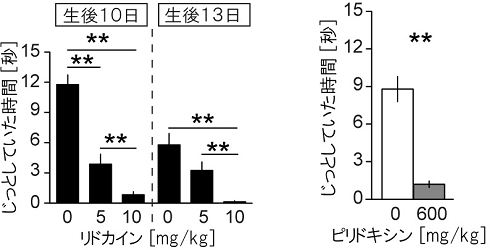 仔マウスがおとなしくなる反応に必要な知覚入力の図