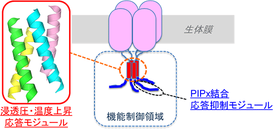 今回明らかにしたTRPGzの構造の図