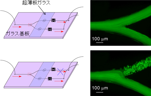 枝分かれ流路における流路切替の実証実験の図