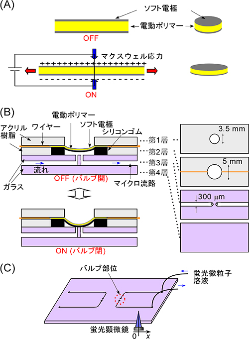 バルブのデザインおよび駆動原理の図