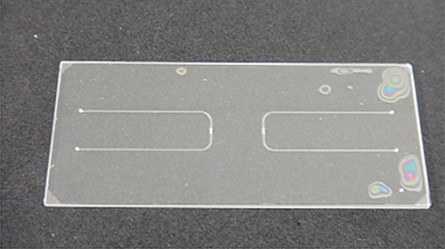 マイクロ流体チップの写真 (7×3 cm、流路幅300μm)の画像