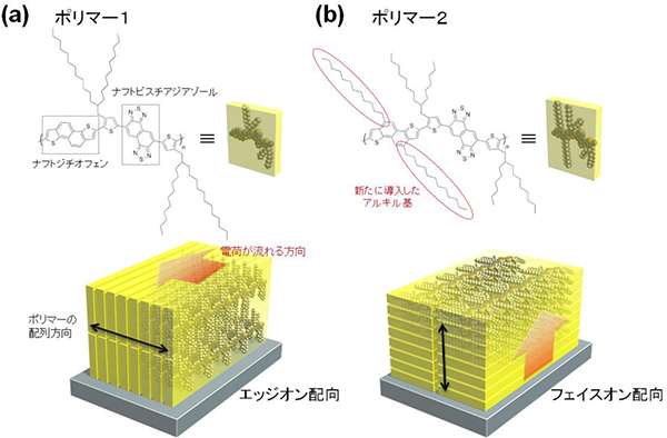 ポリマー1とポリマー2の構造式（上）と薄膜中での様子（下）の図