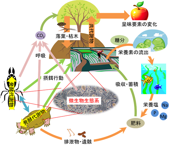 熾烈な生存競争が展開されている環境代謝分野と、ホットな分析トピックス図