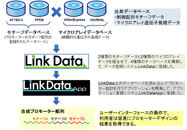 PromoterCAD概要図