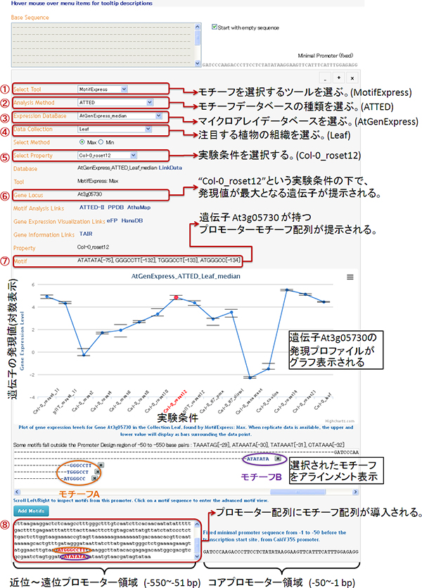 「PromoterCAD」のユーザーインターフェースの図 (ＭｏｔｉｆExpressツールを使用している例)