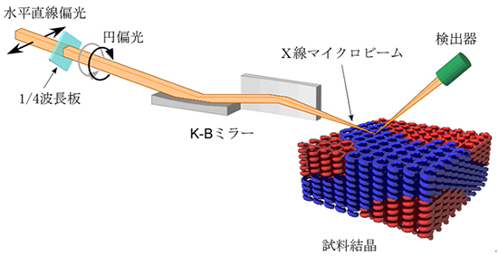 今回開発した走査型Ｘ線顕微鏡の図