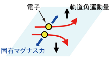 固有マグナス力の図