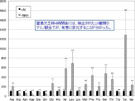 窒素欠乏時の19種類のアミノ酸量変化の図