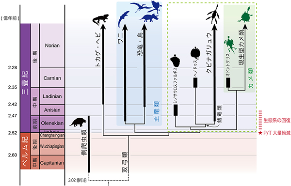 化石種も含めた爬虫類の系統図の画像