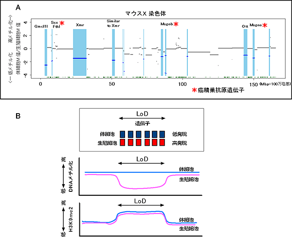 低メチル化DNA領域「LoD」の図