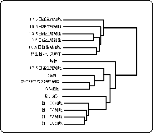 生殖細胞、幹細胞株、体細胞組織のDNAメチル化パターンと細胞タイプの分類の図