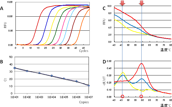 Eprobeを用いたリアルタイムPCRでの増幅の定量検出と融解曲線解析図
