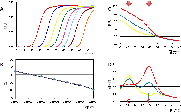 蛍光プローブ Eprobe のリアルタイムpcrへの応用 理化学研究所