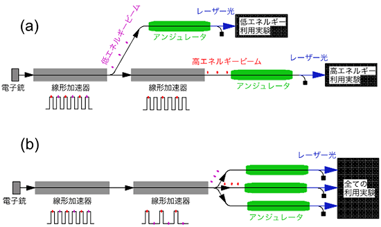 XFELマルチビームラインの施設デザインの図