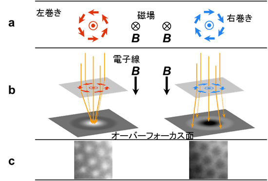 ローレンツ電子顕微鏡法によるスキルミオンの観察の図