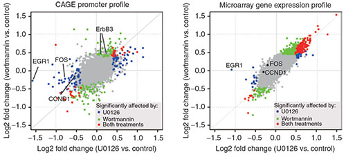 Image showing profiline of drgs that target the EGFR pathway