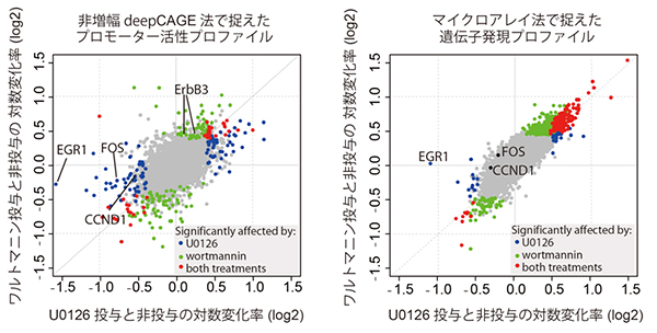 非増幅deepCAGE法と従来のマイクロアレイ法で得た遺伝子発現プロファイルの比較図
